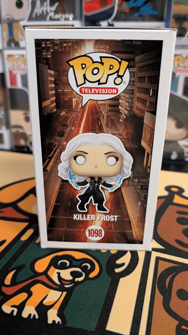Funko Pop DC The Flash Killer Frost 1098 Signed By Danielle Panabaker with SWAU COA 