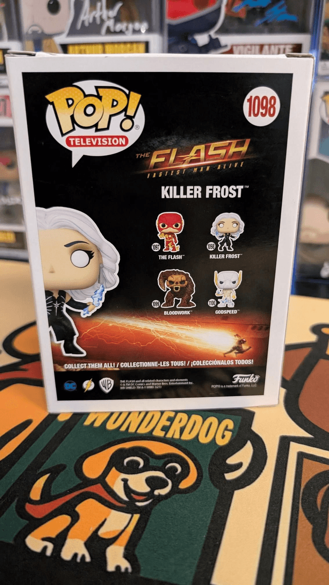 Funko Pop DC The Flash Killer Frost 1098 Signed By Danielle Panabaker with SWAU COA 