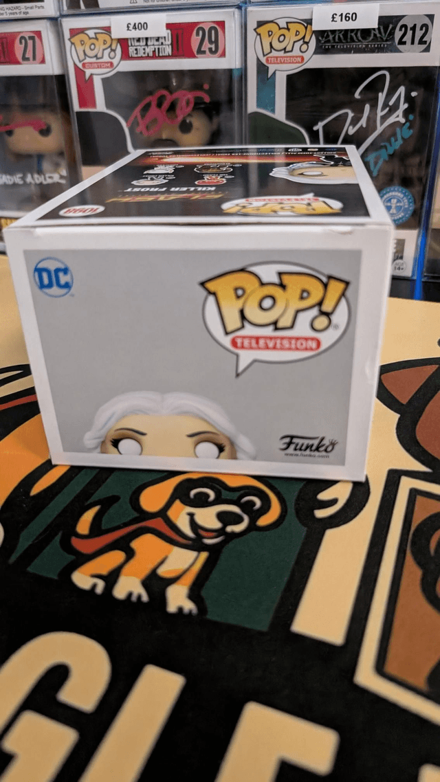 Funko Pop DC The Flash Killer Frost 1098 Signed By Danielle Panabaker with SWAU COA 