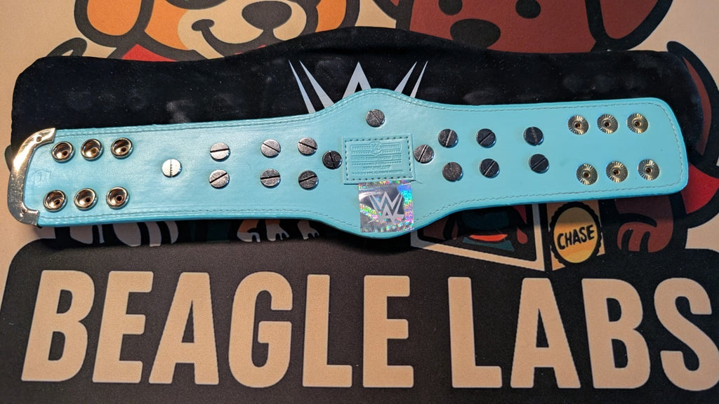 WWE Blue Winged Eagle Championship Mini Replica Title Belt
