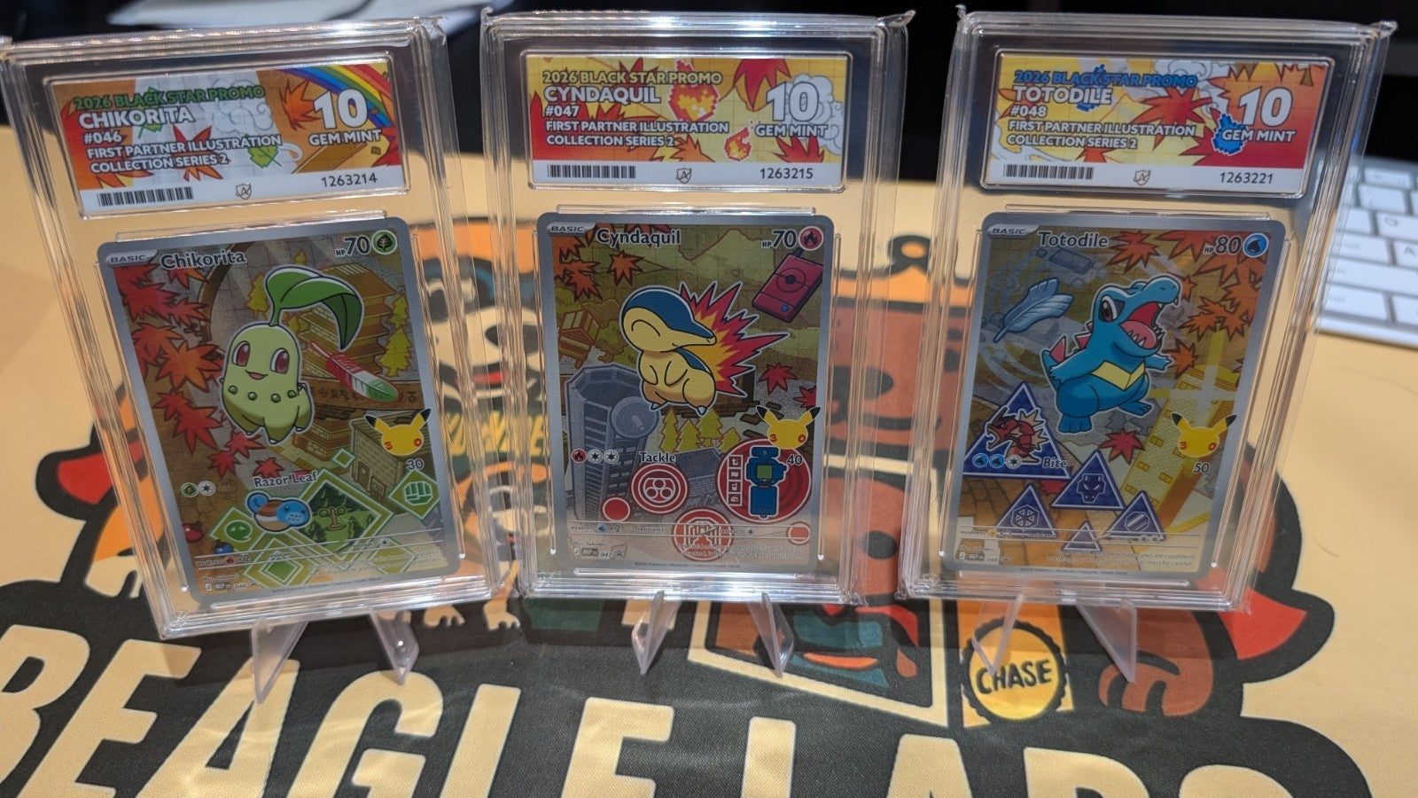 Pokemon TCG Series 2 First Partner Totodile Chikorita Cyndaquil 2 Ace 10 Set
